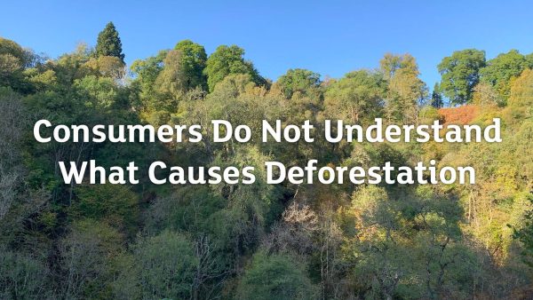 Consumers Do Not Understand What Causes Deforestation 